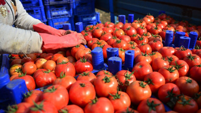 Batı Akdeniz’in ihracat gelirleri belli oldu