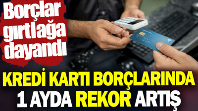 Kredi kart borçlarında 1 ayda rekor artış. Borçlar gırtlağa dayandı