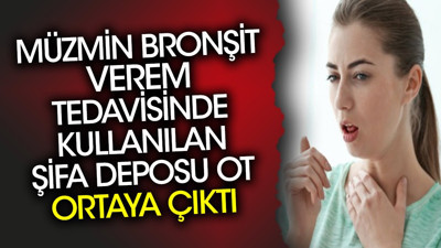 Müzmin bronşit verem tedavisinde kullanılan şifa deposu ot ortaya çıktı