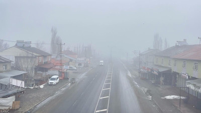 Sis ve don Ağrı'yı esir aldı