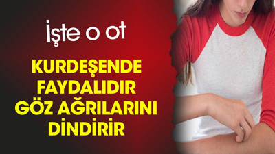 Kurdeşende faydalıdır. Göz ağrılarını dindirir. İşte o ot