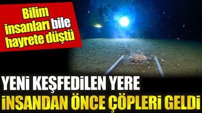 Yeni keşfedilen yere insandan önce çöpleri geldi. Bilim insanları bile hayrete düştü