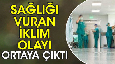 Sağlığı vuran iklim olayı ortaya çıktı