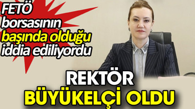 Rektör Büyükelçi oldu. FETÖ borsasının başında olduğu iddia ediliyordu