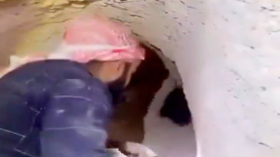 Mağaraya girmeye çalışırken paranormal olarlar yaşadığı iddia edilen adamın videosu gündem oldu