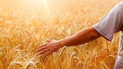 İstanbul Ticaret Borsası’nda kooperatifçilik konuşuldu