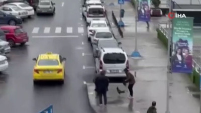 Dövüş horozu sahibinin elinden kaçıp otogarı birbirine kattı! Yakalanma anı şoke etti