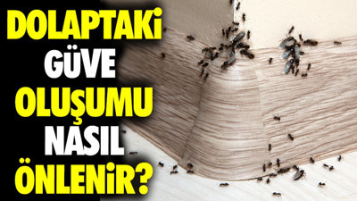 Dolaptaki güve oluşumu nasıl önlenir?
