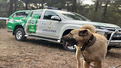 Burdur’da köpek dövüştüren şahıslara ceza yağdı