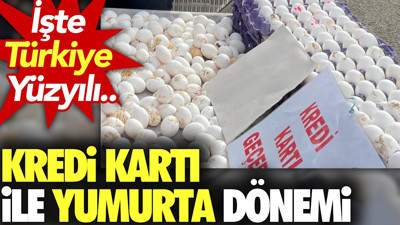 Kredi kartı ile yumurta dönemi. İşte Türkiye yüzyılı