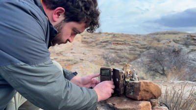 Sivas'ta 'Canavar'ın görüntüsü fotokapanda