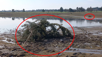 200’ün üzerinde türün yaşadığı göletteki kuşları öldürdüler