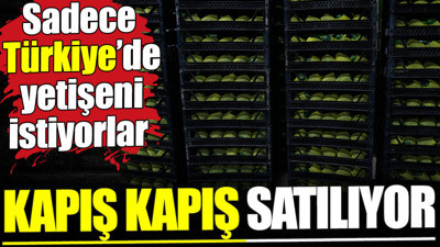 Kapış kapış satılıyor. Sadece Türkiye’de yetişeni istiyorlar