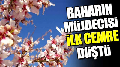 Baharın müjdecisi ilk cemre düştü