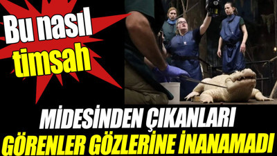 Timsahın midesinden çıkanları görenler gözlerine inanamadı