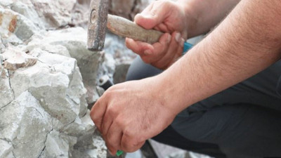 Adıyaman'da yamaçta yürürken gördü hemen telefona sarıldı. Eşi benzeri yok gören hayrete düşüyor