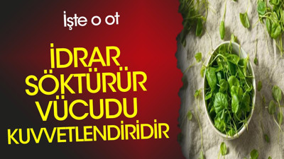 İdrar söktürür. Vücudu kuvvetlendirir. İştah açar. İşte o ot