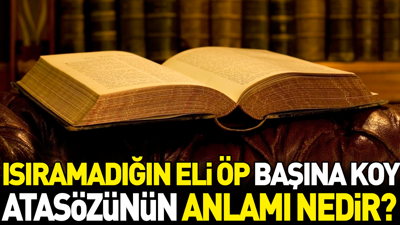 Isıramadığın eli öp başına koy atasözünün anlamı nedir?