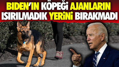 Biden'ın köpeği ajanların ısırılmadık yerini bırakmadı