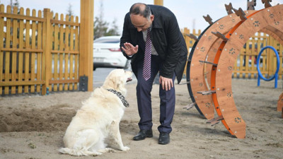 Kahraman köpek Proteo'nun adı Kayseri'de yaşatılacak