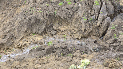 Topraktan oluk oluk fışkırdı köylü büyük paniğe kapıldı! 2 hafta önceki felaketten sonra ortaya çıktı