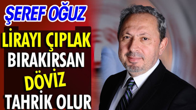 Ekonominin ağır topu Şeref Oğuz: Lirayı çıplak bırakırsan döviz tahrik olur