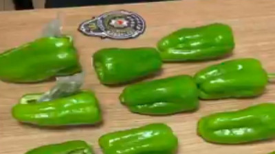 Sarıyer'de dolmalık biberin içinden uyuşturucu çıktı