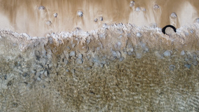 Akdeniz kıyılarını yüzlerce denizanası bastı, vatandaşlar paniğe kapıldı