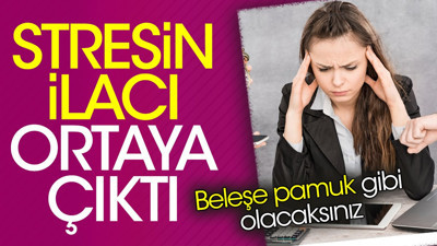 Stresin ilacı ortaya çıktı. Beleşe pamuk gibi olacaksınız