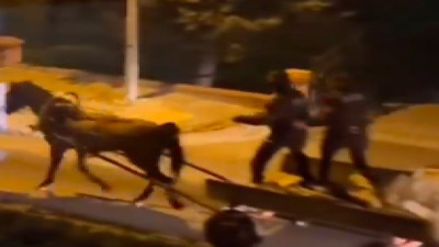 Alkol sebebiyle el konulan at arabasını sürmek zorunda kalan bekçiler gündem oldu