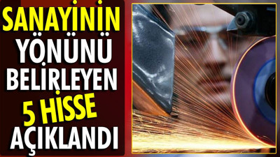 Sanayinin yönünü 5 hisse belirliyor
