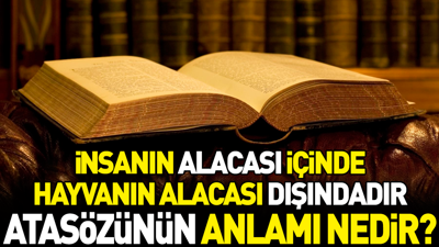 İnsanın alacası içinde hayvanın alacası dışındadır atasözünün anlamı nedir?