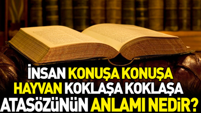 İnsan konuşa konuşa hayvan koklaşa koklaşa atasözünün anlamı nedir?