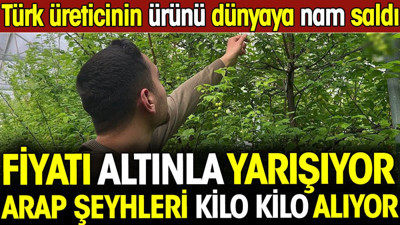 Arap şeyhleri kilo kilo alıyor, fiyatı altınla yarışıyor! Türk üreticinin ürünü dünyaya nam saldı