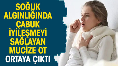 Soğuk algınlığında çabuk iyileşmeyi sağlayan mucize ot ortaya çıktı