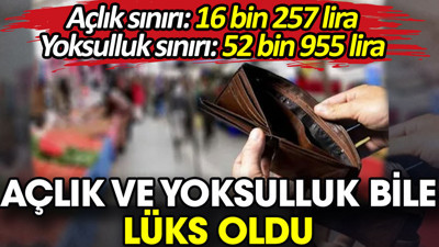 Açlık ve yoksulluk bile lüks oldu