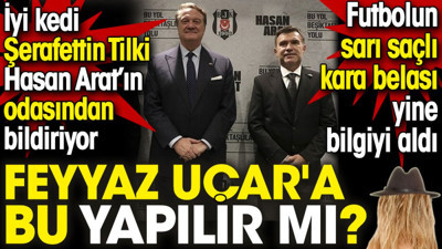 Feyyaz Uçar'a bu yapılır mı? İyi kedi Şerafettin Tilki Hasan Arat'ın odasından bildiriyor