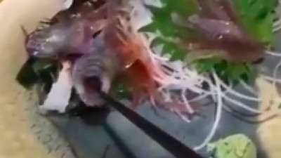 Restoranda servis edilen canlı balık, yemek çubuğunu ısırdı!
