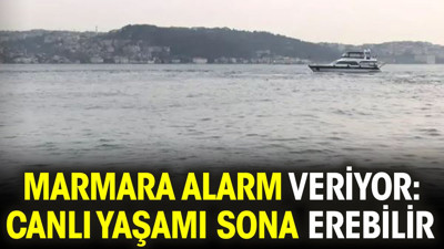 Marmara alarm veriyor. Canlı yaşamı sona erebilir