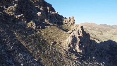 Tarihi Palu ilçesinde dağ keçileri görüntülendi