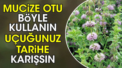 Mucize otu böyle kullanın uçuğunuz tarihe karışsın