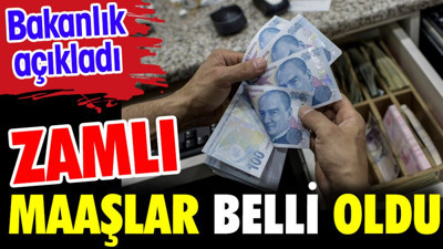 Zamlı maaşlar belli oldu. Bakan açıkladı
