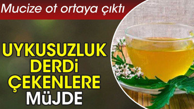 Uykusuzluk derdi çekenlere müjde. Mucize ot ortaya çıktı
