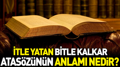 İtle yatan bitle kalkar atasözünün anlamı nedir?