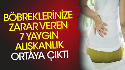 Böbreklerinize zarar veren 7 yaygın alışkanlık ortaya çıktı