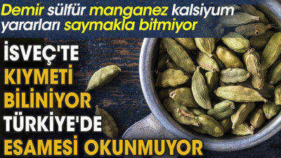 İsveç'te kıymeti biliniyor Türkiye'de esamesi okunmuyor. Demir sülfür manganez kalsiyum yararları saymakla bitmiyor