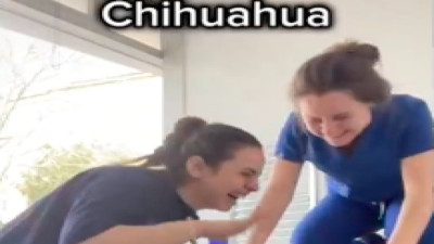 Veteriner hekimlerden kan veren köpeklerin komik taklitleri