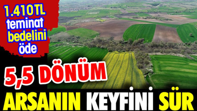 1.410 lira teminat öde 5,5 dönüm arsanın keyfini sür