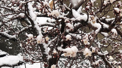 Meteoroloji’den yurdun bazı kesimleri için zirai don uyarısı