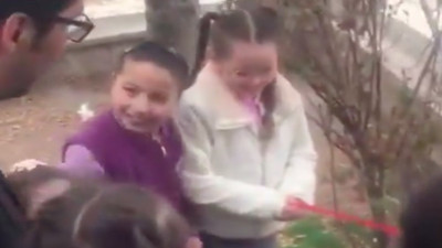 İlkokul öğrencilerinden okul bahçesine gelen kediye özel ev